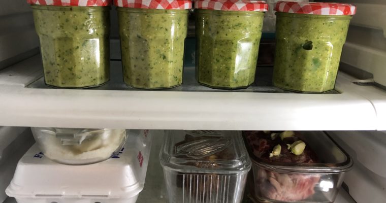 Easy Tomatillo Salsa!